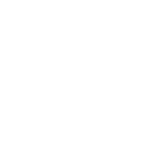丽江平安驾校Logo